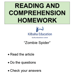 Reading - Zombie spider
