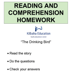 Reading - The Drinking Bird