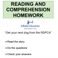 Reading - Get your dog from the RSPCA