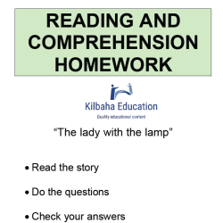 Reading - The lady with the lamp