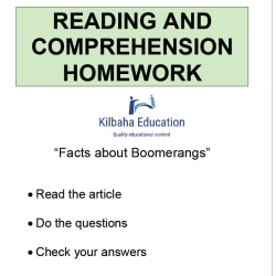 Reading - Facts about boomerangs