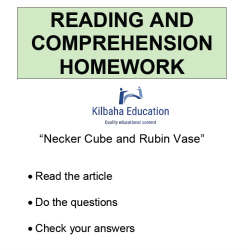 Reading - Necker Cube and Rubin Vase