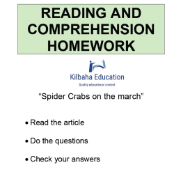 Reading - Spider crabs on the march
